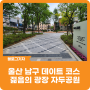 [블로그 기자] 울산 남구 데이트 코스 야경이 멋진 삼산동 사계절 꽃 피는 젊음의 광장 자두공원
