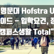 뉴욕대학 Hofstra 호프스트라대학교 국제학생 유치전략 대공개 - 장학금, 한국학생 혜택 꿀팁