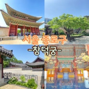 서울 종로 가볼만한곳 창덕궁 5대 궁궐 여행