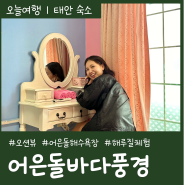 태안펜션 어은돌바다풍경 애견동반 해루질 갯벌체험 펜션