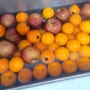 가락시장 과일구입: 사과, 오렌지, 딸기
