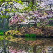아름다웠던 봄날의 김포 장릉