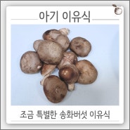 비타민 D가 풍부한 송화버섯 송고버섯 중기 이유식