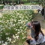 5월 서울 봄나들이 서울숲 피크닉, 꽃 현황 & 성수 구름다리