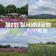 경남 함안 칠서생태공원 청보리, 작약축제 실시간 및 주차정보