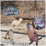 서울 어린이대공원 동물원 2탄 입장료 무료 꼬마동물, 초식동물, 맹수마을 투어