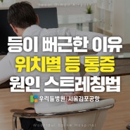 등이 뻐근한 이유, 위치별 등 통증 원인 스트레칭법｜우리들병원 서울김포공항