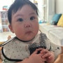 8개월 아기 중기이유식 양파 큐브 퍼기찜기 레시피 / 중기 오트밀쌀큐브 밥솥이유식 레시피