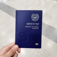 여권 재발급 온라인으로 해봄 (+비용, 기간, 준비물, 수령 장소 총정리)