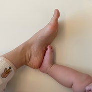 231-240일 육아일기 | 7개월 아기 발달사항, 그립톡제작, 0세 아기 선글라스, 죽이유식