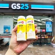편의점 유산균 음료 GS25 단독 락토핏 마시는 유산균