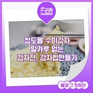 청도몰 수미감자 밀가루 없는 감자전, 감자밥 만들기 [SNS 홍보단]