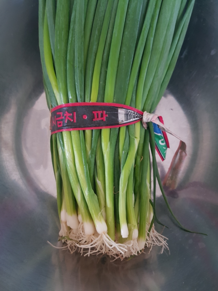 실파 VS 쪽파 실파 쪽파 차이 구분방법 활용요리 : 네이버 블로그