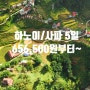 [대전하나투어/대전여행사] 베트남 하노이/사파 5일 오픈런 특가상품 656,500원부터~