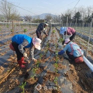 ‘충북형 도시농부’ 참가자 2만명 돌파
