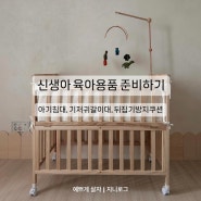 신생아 육아용품 준비 | 소브 이동식 원목 아기침대, 꿈비 기저귀갈이대, 뒤집기 방지 쿠션