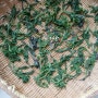 개망초 나물 먹는 법! 망초대 데치기 개망초 고추장 장아찌 만드는 법 효능