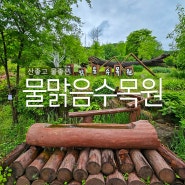 남양주여행 물맑음수목원 서울근교 당일치기 숲속 데이트