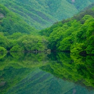 계절의 여왕 5월 _녹색반영이 아름다운 주산지