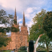 이렇게 좋은 Sydney, 6 (타낫 | 미세스 맥쿼리 체어 | 룩스마켓 | 로열 보타닉 가든 | 하이드 파크 | 세인트 메리 성당 | 시드니 피크닉 스팟)