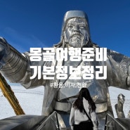 몽골여행 준비 - 몽골환율, 비자, 전압, 팁 등 기본정보 알고가요