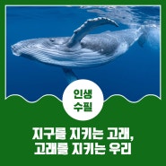 지구를 지키는 고래, 고래를 지키는 우리 - 조용우 부산환경교육센터 이사