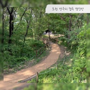 [포천 캠핑] 숲속 힐링 포천 멍우리협곡 캠핑장(feat.우중캠)