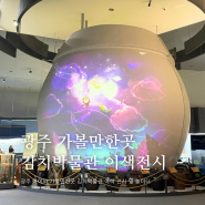 광주 가볼만한곳 김치박물관 이색체험 실내놀이터 주차 정보