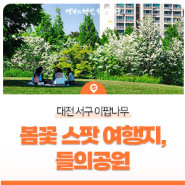 대전 서구 이팝나무 봄꽃 스팟 여행지, 들의공원