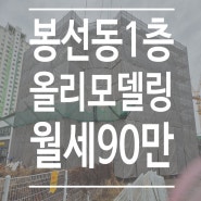 봉선동 유안초교 근접 아파트 밀집 중심위치 1층임대 올리모델링후 첫 임대 (2-5층 임대완료)