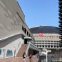 후쿠오카 여행 후쿠오카 돔 구장 명칭 변경 미즈호 페이페이 돔