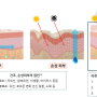 전주신시가지 피부과 "리쥬더마" 아토크림