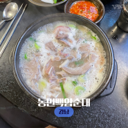 강남역 점심 맛집 농민백암순대 순대국 혼밥 내돈내산