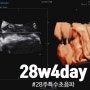 [임신28주차] 28w4day 초음파, 백일해주사, 아기손수건 세탁방법