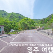 경북 영주 가볼만한곳 국내 기차여행 추천 소백산 국립산림치유원 등