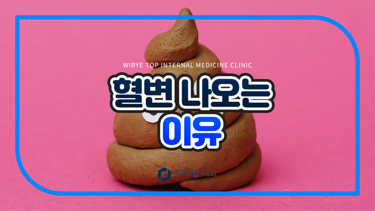 피똥 싸는 이유 악화하면 대장암으로 : 네이버 블로그