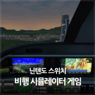 닌텐도 스위치 항공기 플라이트 비행 시뮬레이터 (Airplane Flight Simulator) 후기