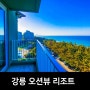 강릉 오션뷰 호텔, 라카이 샌드파인 리조트 강릉 숙소