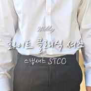 STCO 클래식 화이트 셔츠 에스티코 웨딩스냅 정장셔츠