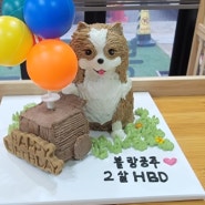 안산 강아지 수제 케이크 구매 예약과 강아지 수제간식을 이용한 생일상 차리기 봉구 스틱