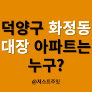 덕양구 화정동 대장 아파트는 누구? (화정역 아파트)