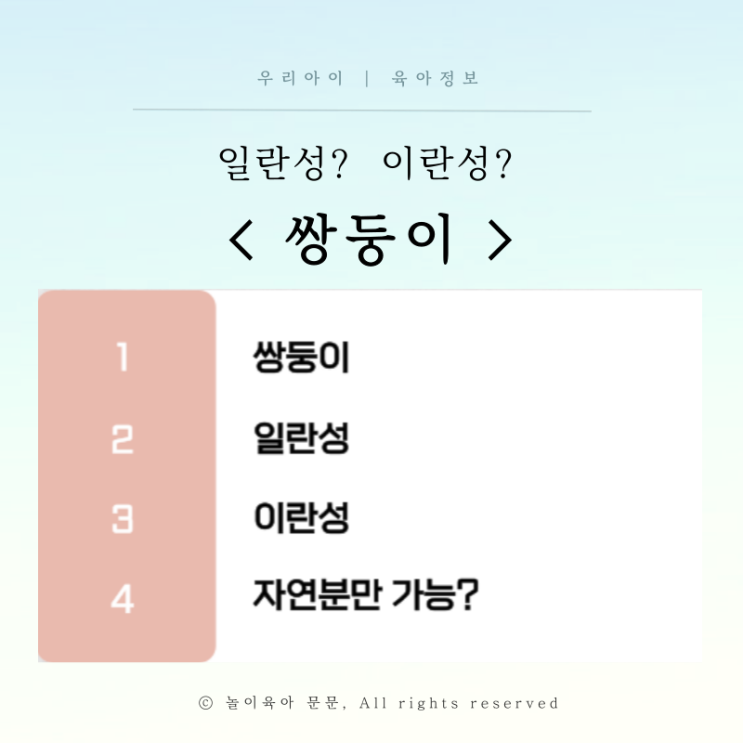 일란성 이란성 쌍둥이 임신 차이점 구분하기 자연분만 가능? : 네이버 블로그