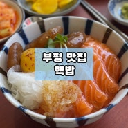 부평 덮밥 맛집 혼밥 점심 추천 핵밥
