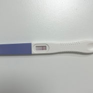 얼리 vs 일반 임신테스트기 사용시기 및 임테기 사용법