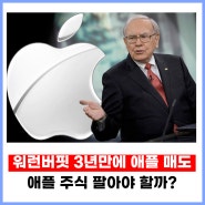 워런 버핏 애플 매도, 고점 신호일까?