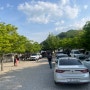 여름 휴양에 딱 맞는 대전 근교 계곡 캠핑장 추천!