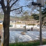 대전 계족산 맨발걷기 황토길