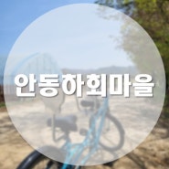 [국내/안동] 안동 필수 여행 코스 자전거 타고 안동하회마을 한 바퀴