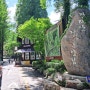 대전 장태산 자연휴양림(스카이타워, 출렁다리, 전망대, 메타세콰이아 산림욕장, 형제바위)