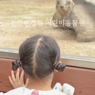 순천만 국가 정원 동물원 : 아이랑 관람 팁 + 주차정보